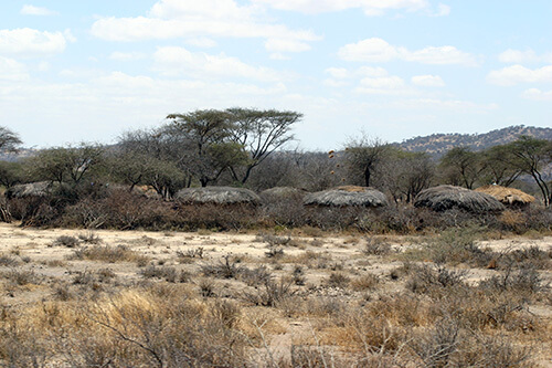Camouflaged Maasai boma