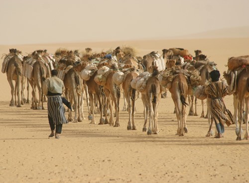 Wandering the Sands: The Enduring Nomadic Lifestyle of the Tuareg People