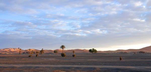 The sand dunes of Merzouga