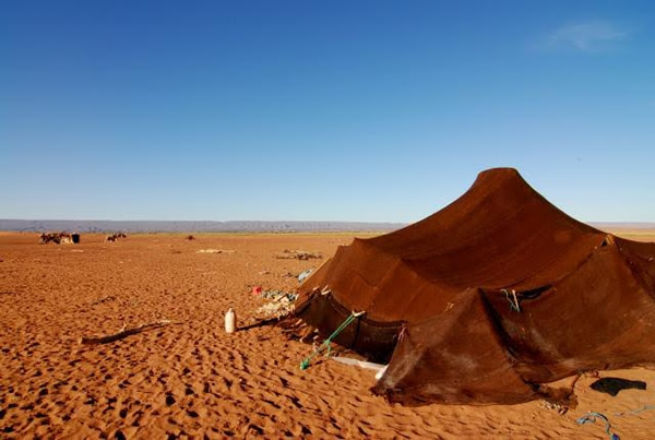One of the nomadic tents that dot the Sahara desert