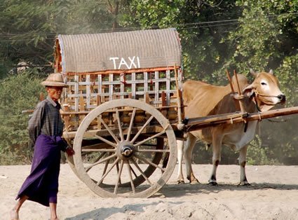 Man with taxi cart