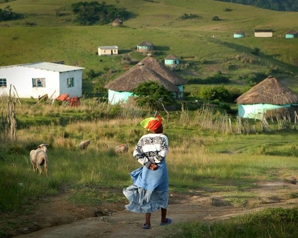 Traditional Xhosa village near Coffee Bay