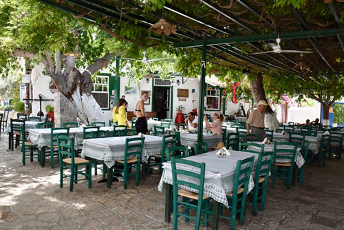 Vine-covered terrace of a restaurant in Hydra