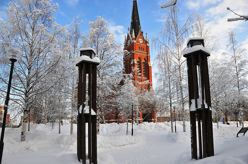 Off-season snow-covered trees in Scandinavia.