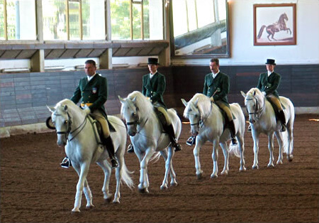 Lipica horse show in Slovenia.