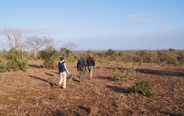 Walking through the veld in Kruger National Park