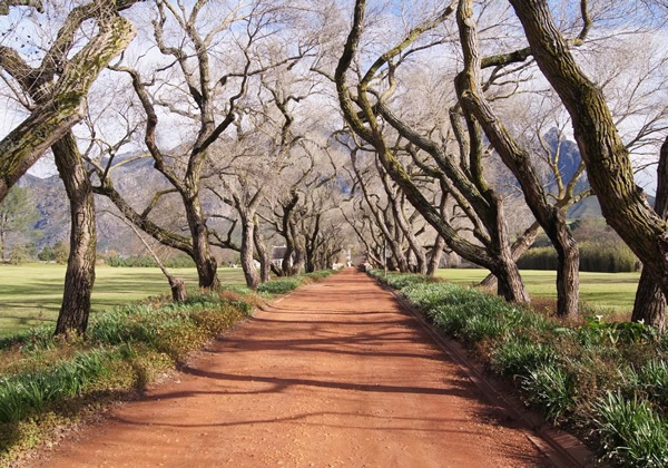 The road to a wine tasting at the L’Ormarins Estate near Franschhoek
