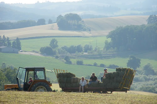 Family volunteering on a farm