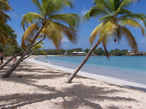 A typical beach in Martinique