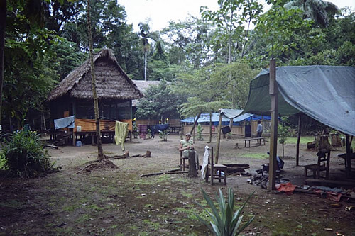 Camp in the Bolivian jungle