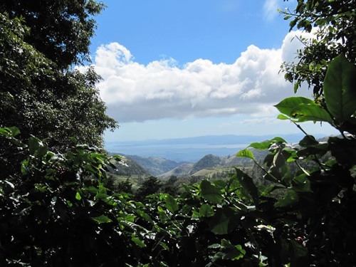 Costa Rica's Pacific Coast