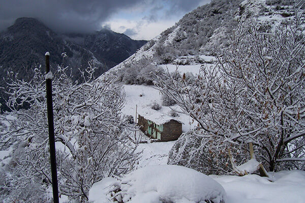 House and trees covered in the perfect snow in India.