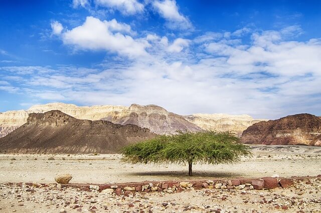 Negev Desert in Israel.