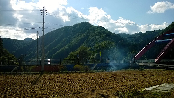 A rice field on fire