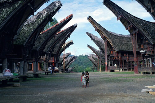 Houses in Tana Toraja, Indonesia