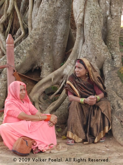 Women sitting on the ancient huge roots of old trees lost in thought is an interesting photo subject.