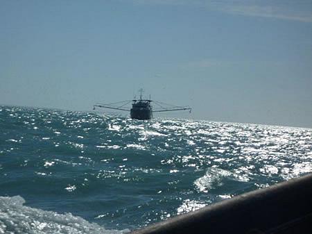 Prawn trawlers in Australia often have fishing jobs.