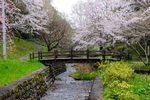 Bridge in Japan where teaching English and living abroad is an option.