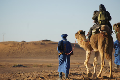 A tour on camel back begins a trek into the desert.