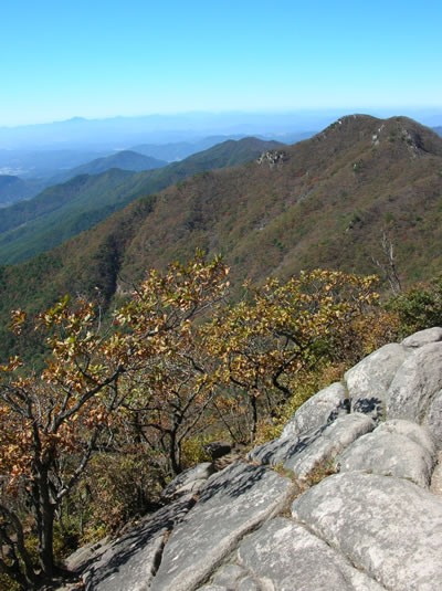 View from a Korean mountain-top.