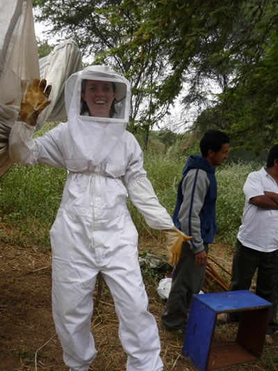 Harvesting honey in Peru