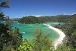 Working holiday in New Zealand