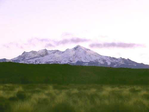 Mount Ruapehu from the Desert Road