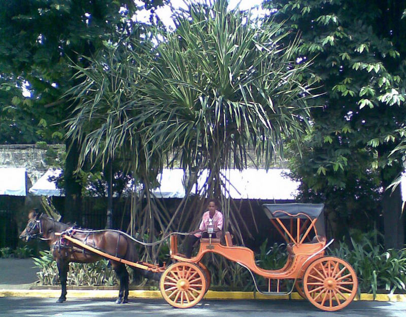 Man with horse and buggy in the Philippines.
