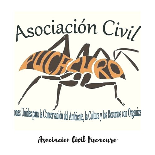 Asociación Civil PUCACURO volunteers