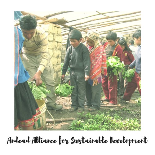 Andead Alliance for Sustainable Development volunteers