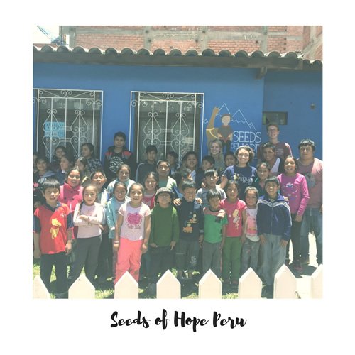 Seeds of Hope Peru volunteers