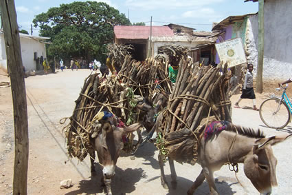 Ethiopian streets with donkeys.