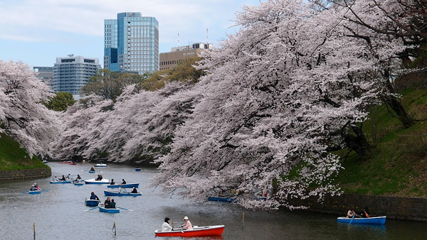 Spring in Tokyo, Japan