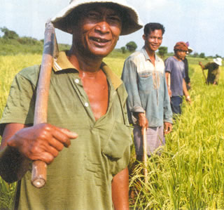 Rice Farmers in Cambodia