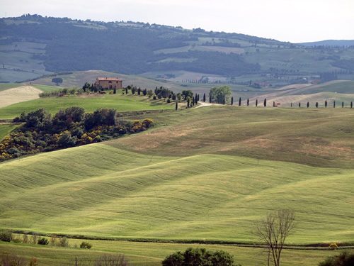 The rolling hills of Tuscany in Italy