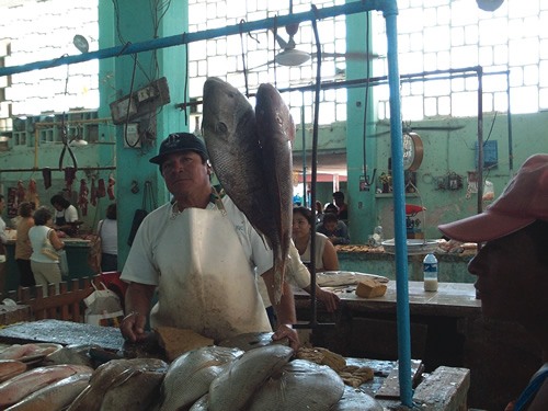 Expatriates and locals alike visit Progreso's fishmonger