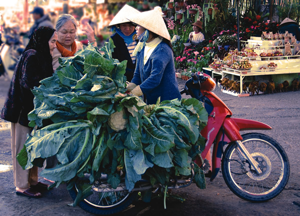 Local woman sells cauliflower in Dalat, Vietnam