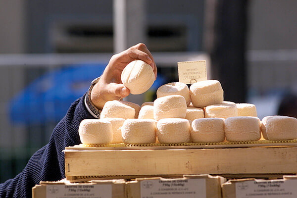 Baby goat cheeses