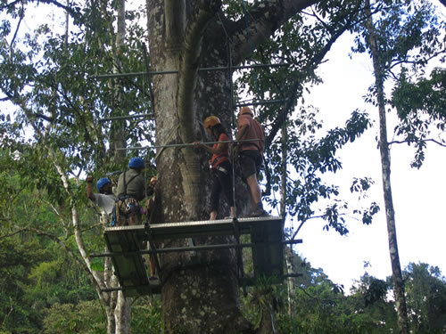 In the trees rappelling in Costa Rica