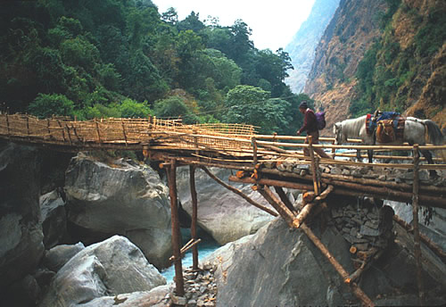 Bamboo bridge in Nepal