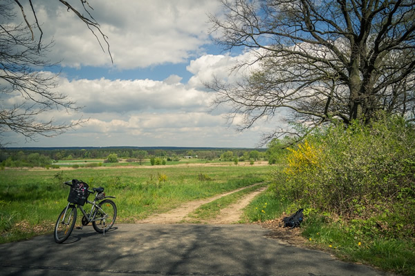Biking is an enjoyable form of eco-friendly travel