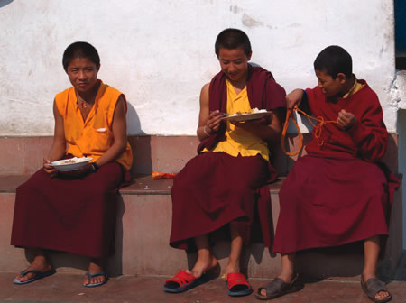 Young Buddhist monks enjoying lunch