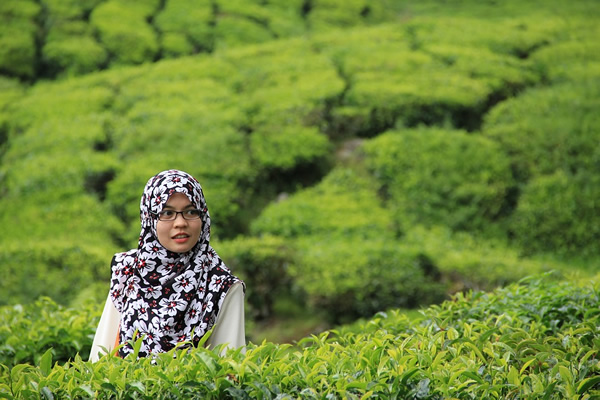 Woman in tea field in Malaysia