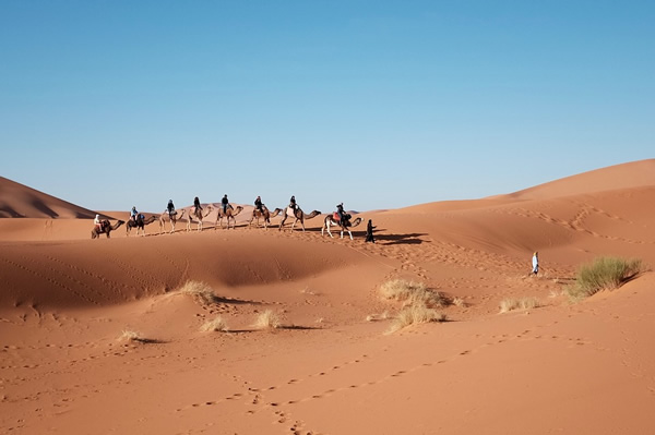 Travel in Egypt amid the sand dunes