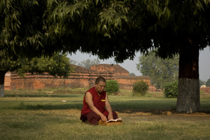 Monk reading under trees