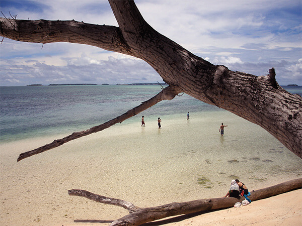 A beach scene, with some sitting on a fallen large tree, in the Marshall Islands.