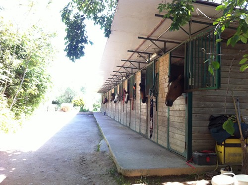 The horse stables at Umbrian vineyard