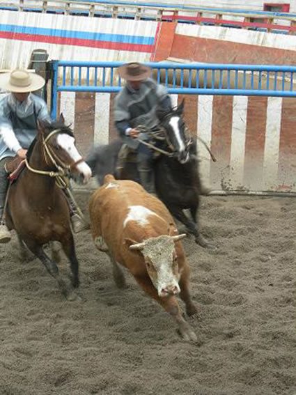 A rodeo in Chile