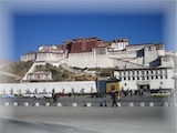 Volunteer in Tibet