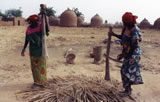 Study Abroad in Niger